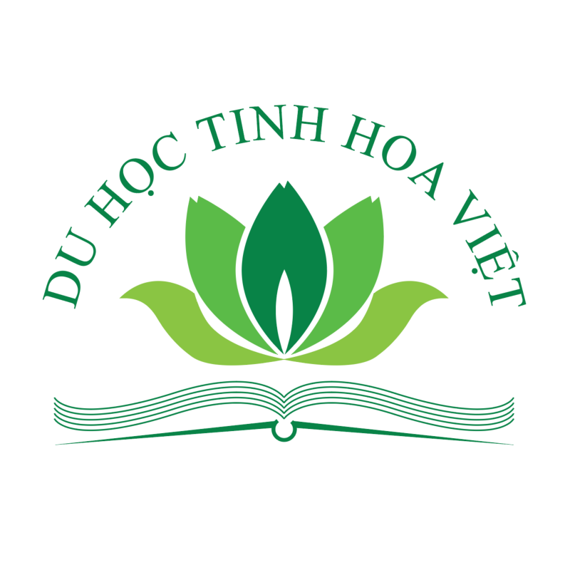 TINH HOA VIỆT EDUCATION